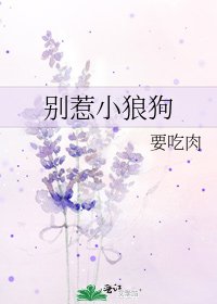 别惹小狼狗