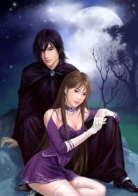专情总裁：寻妻记