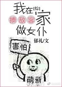 （BG/综漫同人）我在揍敌客家做女仆[综]